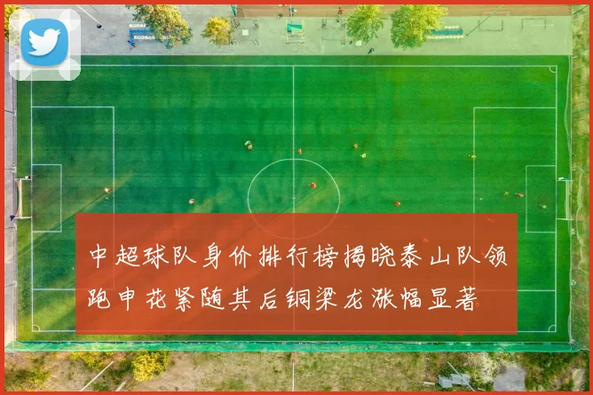 中超球队身价排行榜揭晓泰山队领跑申花紧随其后铜梁龙涨幅显著